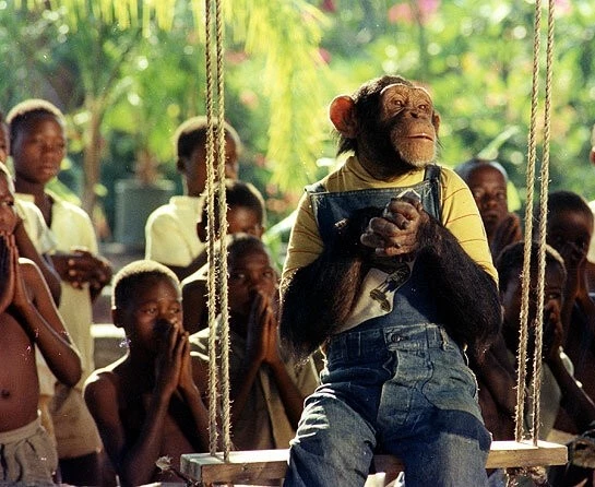 Африка экспресс 1975 скачать торрентом Африка экспресс 1975 скачать торрентом