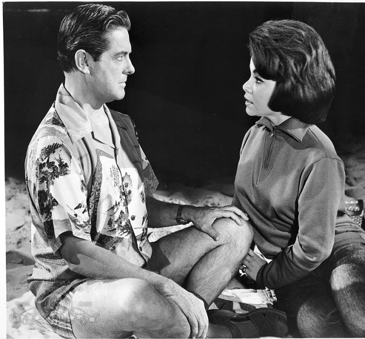 Пляжные тусовщики 1963 скачать с торрента Пляжные тусовщики 1963 скачать с торрента