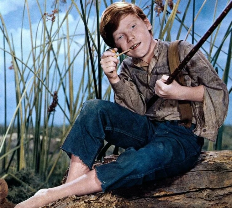 Приключения Гекльберри Финна 1960 скачать через торрент бесплатно Приключения Гекльберри Финна 1960 скачать через торрент бесплатно