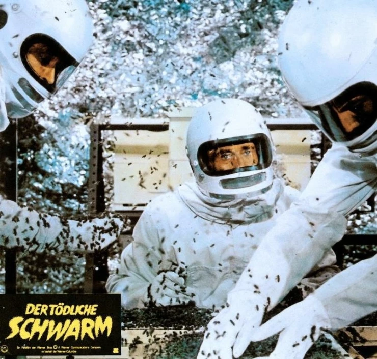 Рой 1978 скачать через торрент бесплатно Рой 1978 скачать через торрент бесплатно