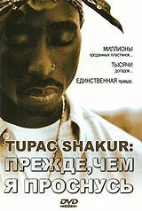 Tupac Shakur: Прежде, чем я проснусь / Tupac Shakur: Before I Wake... 2001 скачать через торрент в хорошем качестве