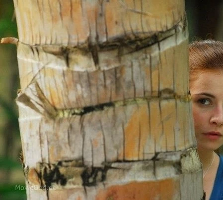 Турецкий для начинающих 2012 скачать через торрент бесплатно Турецкий для начинающих 2012 скачать через торрент бесплатно