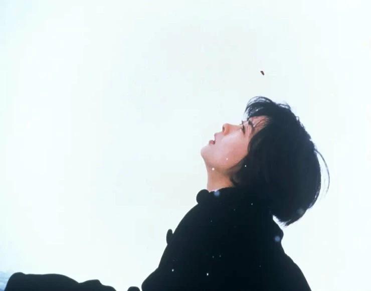 Любовное письмо 1995 скачать торрентом Любовное письмо 1995 скачать торрентом