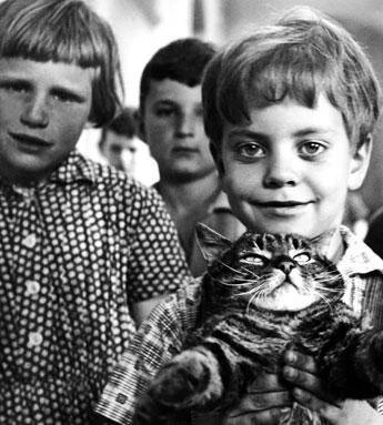 Вот придет кот 1963 скачать торрентом Вот придет кот 1963 скачать торрентом