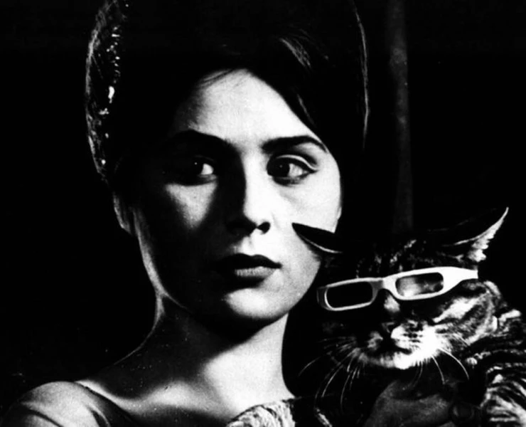 Вот придет кот 1963 скачать с торрента Вот придет кот 1963 скачать с торрента