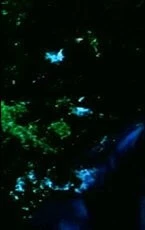 Кулак возмездия 1973 скачать с торрента Кулак возмездия 1973 скачать с торрента