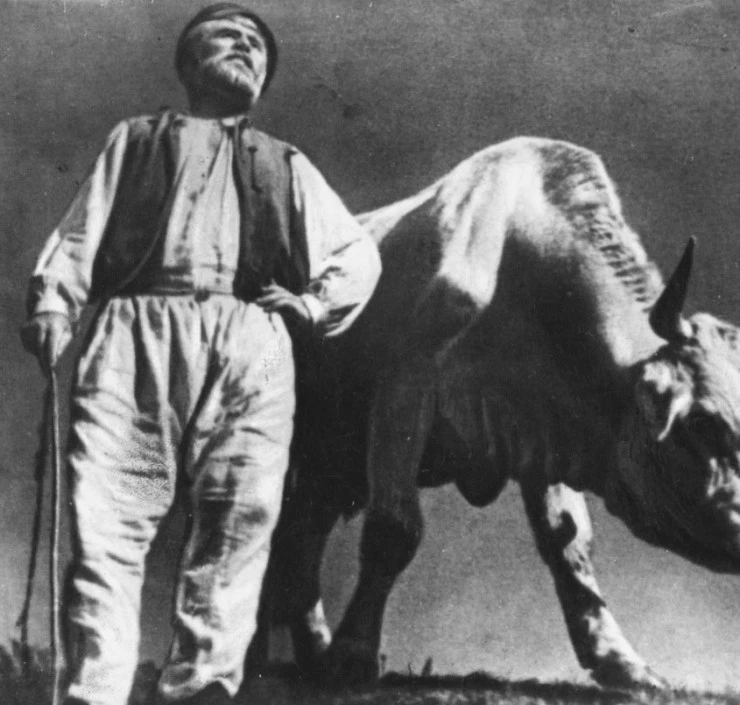 Земля 1930 скачать с торрента Земля 1930 скачать с торрента