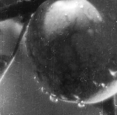 Земля 1930 скачать через торрент бесплатно Земля 1930 скачать через торрент бесплатно