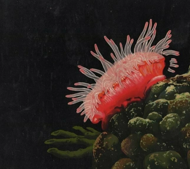 Светлячок 1978 скачать торрентом Светлячок 1978 скачать торрентом