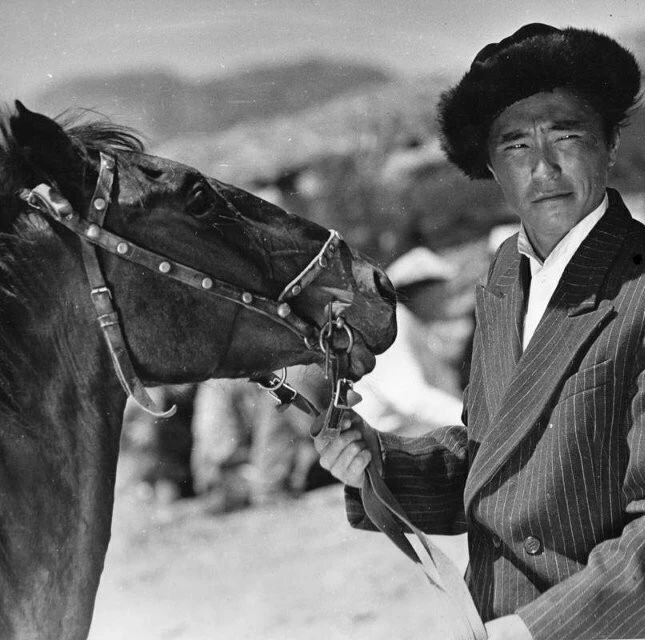 Джамиля 1968 скачать через торрент бесплатно Джамиля 1968 скачать через торрент бесплатно