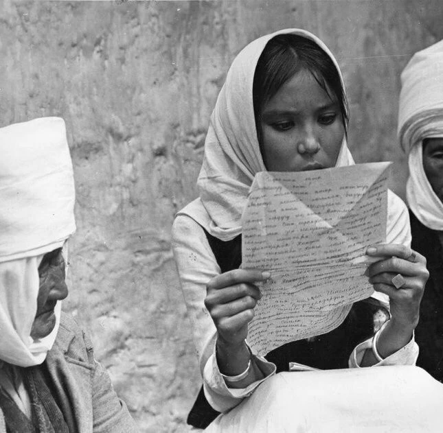 Джамиля 1968 скачать с торрента Джамиля 1968 скачать с торрента