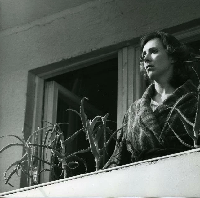 Двое 1987 скачать через торрент бесплатно Двое 1987 скачать через торрент бесплатно