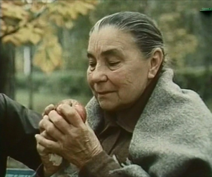 Деревья на асфальте 1984 скачать с торрента Деревья на асфальте 1984 скачать с торрента