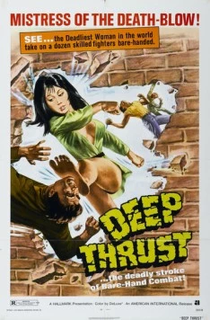 Леди вихрь / Tie zhang xuan feng tui 1972 скачать через торрент в хорошем качестве