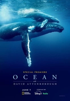 Дэвид Аттенборо: Океан / Ocean with David Attenborough 2025 скачать через торрент в хорошем качестве