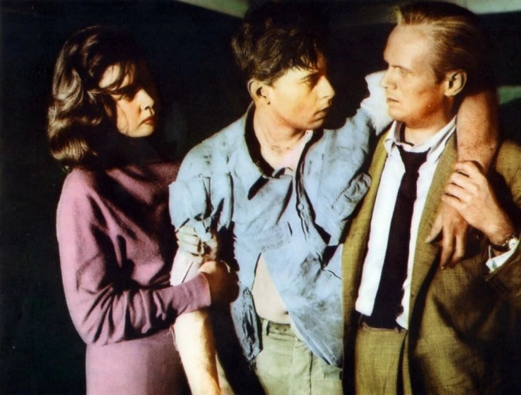 Паутина 1955 скачать через торрент бесплатно Паутина 1955 скачать через торрент бесплатно