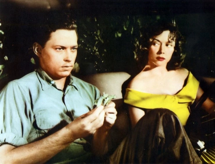 Паутина 1955 скачать с торрента Паутина 1955 скачать с торрента