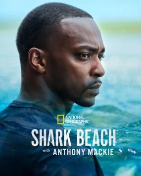 Акулий пляж с Энтони Маки: Мексиканский залив / Shark Beach with Anthony Mackie. Gulf Coast 2024 скачать через торрент в хорошем качестве