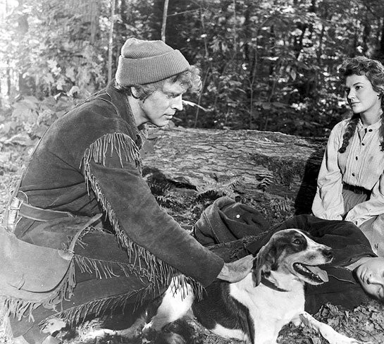 Человек из Кентукки 1955 скачать с торрента Человек из Кентукки 1955 скачать с торрента