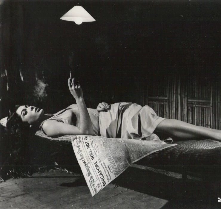 Город, похожий на Элис 1956 скачать с торрента Город, похожий на Элис 1956 скачать с торрента