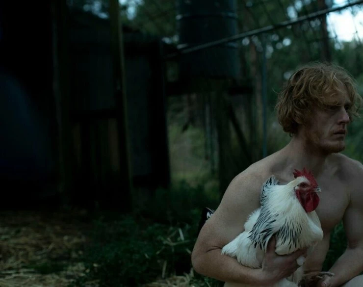 Петух 2024 скачать торрентом Петух 2024 скачать торрентом