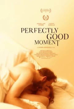 Идеально подходящий момент / Perfectly Good Moment 2023 скачать через торрент в хорошем качестве