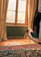 Истина в вине 1999 скачать с торрента Истина в вине 1999 скачать с торрента