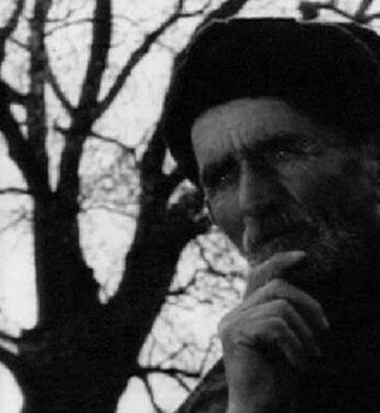 Саженцы 1972 скачать с торрента Саженцы 1972 скачать с торрента