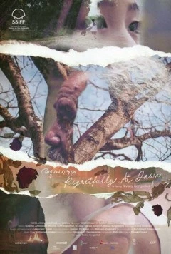 С сожалением на рассвете / A run gaan 2024 скачать через торрент в хорошем качестве