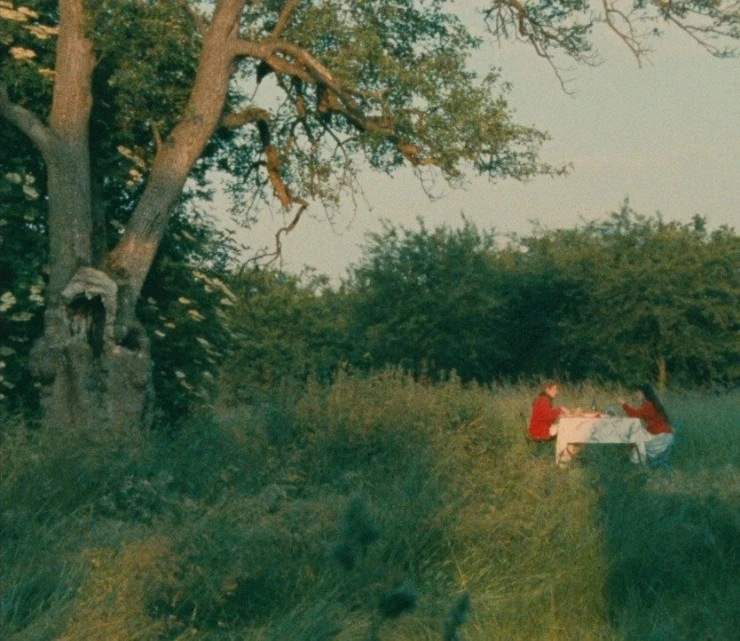 4 приключения Ренетт и Мирабель 1986 скачать торрентом 4 приключения Ренетт и Мирабель 1986 скачать торрентом