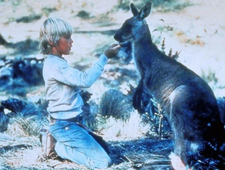 Землянин 1980 скачать через торрент бесплатно Землянин 1980 скачать через торрент бесплатно