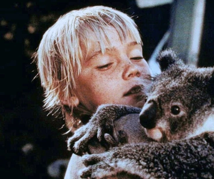 Землянин 1980 скачать с торрента Землянин 1980 скачать с торрента