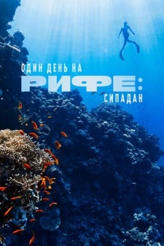 Один день на рифе: Сипадан / A Day on the Reef: Sipadan 2024 скачать через торрент в хорошем качестве