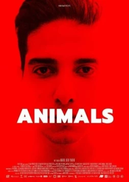 Животные / Animals 2021 скачать через торрент в хорошем качестве