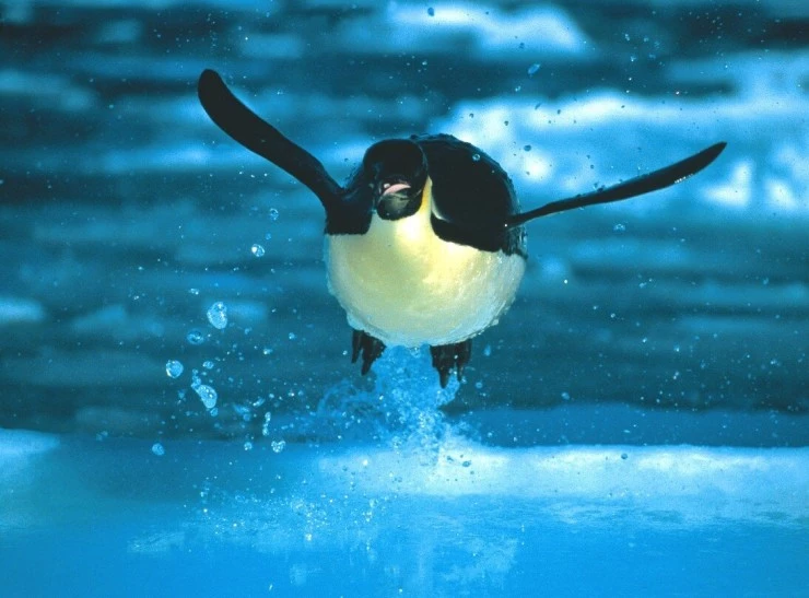 Глубина 2003 скачать торрентом Глубина 2003 скачать торрентом