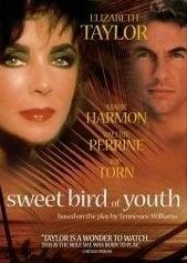Сладкоголосая птица юности / Sweet Bird of Youth 1989 скачать через торрент в хорошем качестве