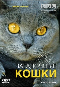 BBC: Загадочные кошки / The Cat Connection 2002 скачать через торрент в хорошем качестве