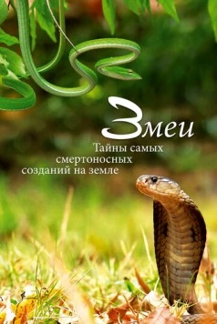 Змеи. Тайны самых смертоносных созданий на земле / Snakes, Secrets of Nature’s Deadliest Creatures 2014 скачать через торрент в хорошем качестве