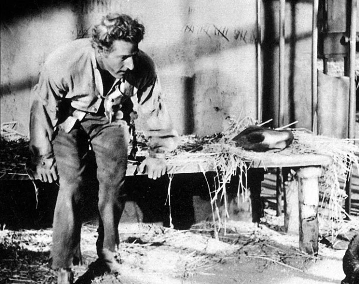 Ревизор 1949 скачать с торрента Ревизор 1949 скачать с торрента