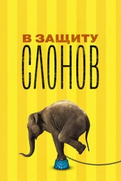 В защиту слонов / An Apology to Elephants 2013 скачать через торрент в хорошем качестве