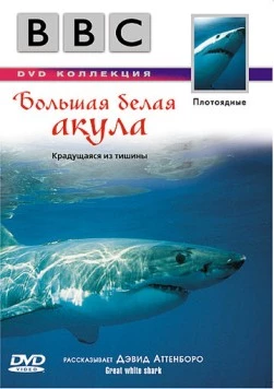 BBC: Большая белая акула / Great White Shark 1995 скачать через торрент в хорошем качестве