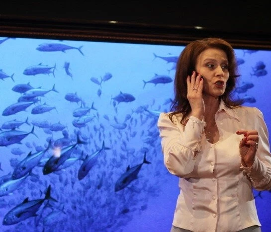 Карусель 2010 скачать торрентом Карусель 2010 скачать торрентом