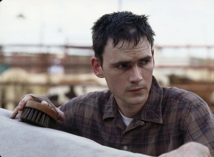 Саранча 1997 скачать торрентом Саранча 1997 скачать торрентом