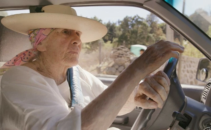 Диана Кеннеди: Ничего лишнего 2019 скачать с торрента Диана Кеннеди: Ничего лишнего 2019 скачать с торрента