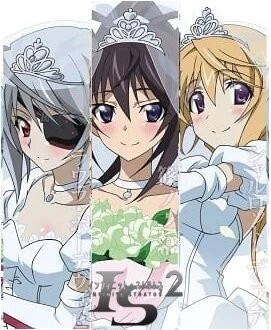 Бесконечные небеса 2: Бесконечные свадьбы / IS: Infinite Stratos 2 - Infinite Wedding 2016 скачать через торрент в хорошем качестве