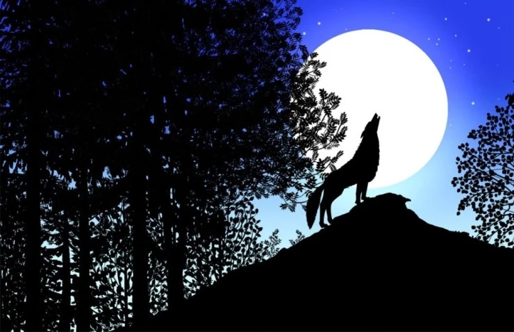 Сказки на ночь 2011 скачать торрентом Сказки на ночь 2011 скачать торрентом