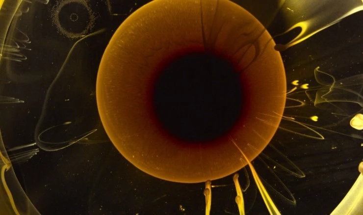 Путешествие времени 2016 скачать через торрент бесплатно Путешествие времени 2016 скачать через торрент бесплатно