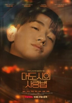 Любовь в большом городе / Daedosiui sarangbeom 2024 скачать через торрент в хорошем качестве