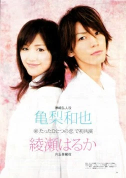 Любовь моей жизни / Tatta hitotsu no koi 2006 скачать через торрент в хорошем качестве