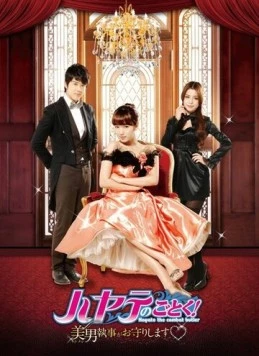 Хаятэ, боевой дворецкий / Xuan feng guan jia 2011 скачать через торрент в хорошем качестве